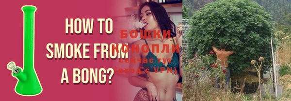 прущие грибы Баксан