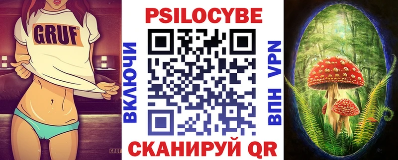 Галлюциногенные грибы Psilocybe  купить наркотик  Протвино 